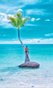 a man standing on an island with a palm tree on the beach at Evelin cottage in Ohoililir