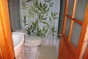 Koupelna v ubytování Hostal Avareipua + 23 fotografií