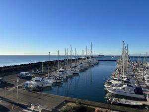 grupa łodzi zacumowanych w porcie w obiekcie Studio Cabine avec Ascenseur, Proche Plage, Animaux Admis - FR-1-702-49 w Cap d'Agde