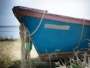 Príroda v okolí apartmánu + 3 fotografie