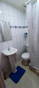 a bathroom with a sink and a toilet and a mirror at Bosque Valdiviano Apartment in Valdivia