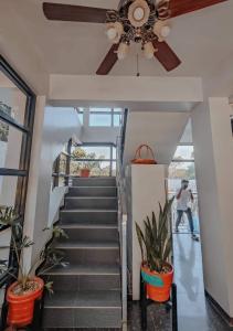 un escalier avec un ventilateur de plafond et des plantes dans l'établissement Mountain View Garden Inn Coron, à Coron