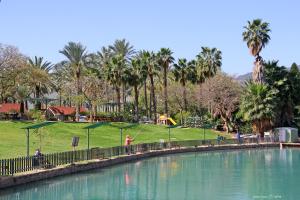 a person is playing golf in a park at Nir David Country Lodge in Nir Dawid