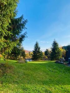 ein Grasfeld mit Bäumen und einem See in der Unterkunft Cabana Serenade in Suceviţa