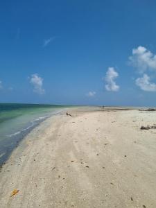 Afbeelding uit fotogalerij van Mgeni Homestay in Kilindoni +33 foto's