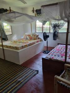 基林多尼的住宿－Mgeni Homestay，一间卧室设有两张双层床和风扇