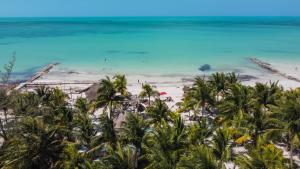 an aerial view of the beach and the ocean at Zomay Beachfront Holbox in Holbox Island