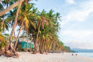a group of palm trees on a beach at Sheridan Villas Boracay in Boracay