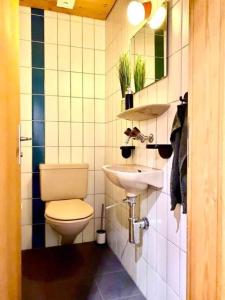 uma casa de banho com um WC e um lavatório em Ferienwohnung Aareschlucht - Erholung ab 2 Nächten em Rohrmatten