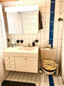 Rohrmatten的住宿－Ferienwohnung Aareschlucht - Erholung ab 2 Nächten，一间带水槽、卫生间和镜子的浴室