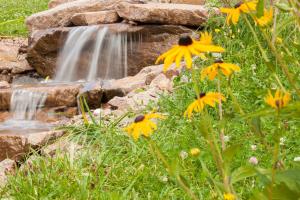 Paesaggio naturale nelle vicinanze dell'hotel