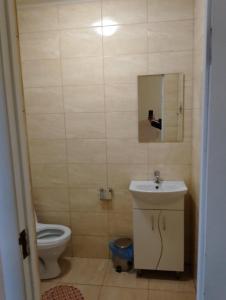 ベレホヴェにあるГотель АС Береговоのバスルーム(トイレ、洗面台、鏡付)