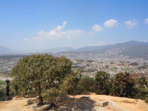 a tree on top of a hill with a city at The Nest Guest House in Changunarayan