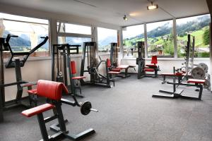 Fitness centrum a/nebo fitness zařízení v ubytování Hotel Birkenhöhe