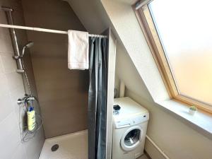 コルマールにあるGîte "Schongauer" hypercentre Colmarの小さなバスルーム(洗濯機、洗濯機付)