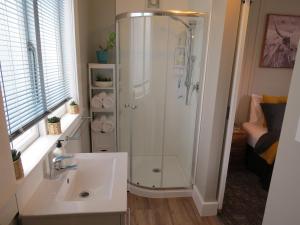 a bathroom with a shower and a sink at Crown Ridge Miners Cottage in Karangahake