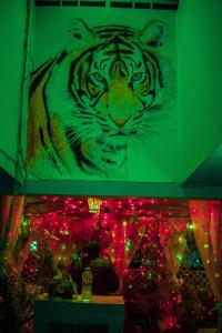 Pachamama Hostel في جايبور: لوحة نمر على جدار مع أضواء عيد الميلاد