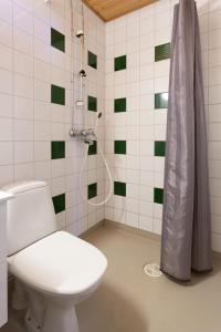 ロヴァニエミにあるSampo Studiosのバスルーム(トイレ、シャワー付)