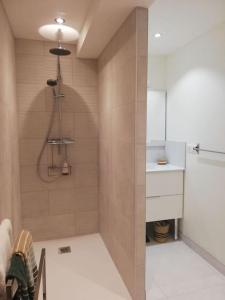 een badkamer met een douche en een wastafel bij Appartement 40m2 avec terrasse et vue superbe in Theys