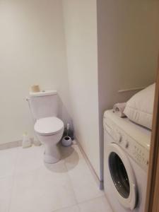 een badkamer met een toilet en een wasmachine bij Appartement 40m2 avec terrasse et vue superbe in Theys