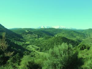 Imagen de la galería de La Figuera, en Castelnou