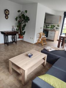 a living room with a blue couch and a coffee table at Ferienwohnung am Olbasee in Malschwitz