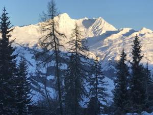 een met sneeuw bedekte berg met bomen op de voorgrond bij Arcs 1800 Duplex rénové 5 pers au pied des pistes calme location à la semaine seulement in Arc 1800