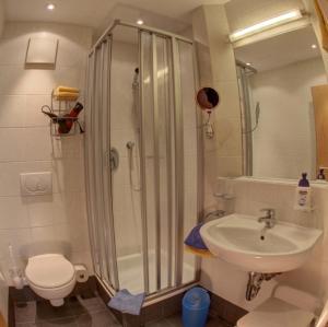 a bathroom with a shower and a sink and a toilet at Haus Abendsonne in Reit im Winkl