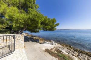 a beach with chairs and a tree next to the water at Villa Karmen Adriatica in Kukljica