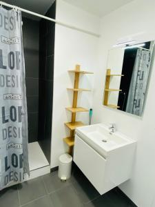 uma casa de banho com um lavatório branco e um espelho. em LE CLOS RUTHÈNE em Rodez