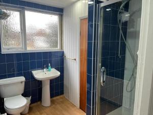 La salle de bains est pourvue de toilettes, d'un lavabo et d'une douche. dans l'établissement Saji Hotel Illford, à Ilford