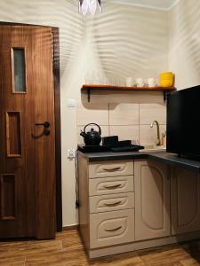 a kitchen with a stove and a counter top at Czapla siwa in Sztutowo