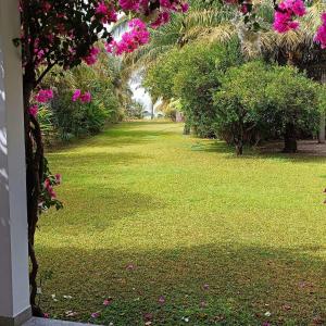 Zahrada ubytování Villa CITRONS VERTS dans un parc arboré vue mer