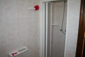 baño con ducha con una flor roja en la pared en Residenza Stefanelli, en Tropea