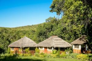 un grupo de cabañas con techo de paja y árboles en Giraffe Hills Mara Camp en Masai Mara