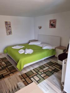 ブシュテニにあるCasa Moraruluiのベッドルーム1室(ベッド1台、緑の毛布付)