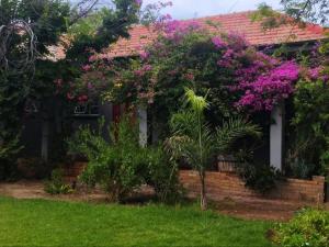 a house with pink flowers on the side of it at Royal Karoo Cottage unit 2 in Beaufort West