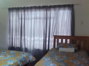 a bedroom with two beds and a window with curtains at Royal Karoo Cottage unit 2 in Beaufort West