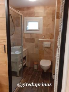 a bathroom with a toilet and a sink at Gite du Prinas in Gréolières