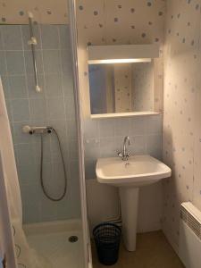 a small bathroom with a sink and a shower at Les Tilleuls in Le Pouliguen