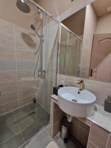 y baño con lavabo y ducha. en Fantastico Exlcusive Hotel en Senta