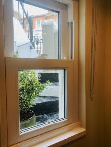 a window with a potted plant in a window sill at Cosy Central Hideaway in St. Leonards