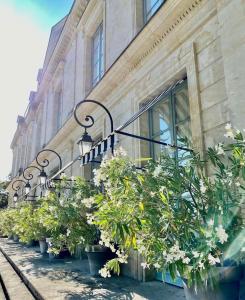 une rangée de plantes sur le côté d'un bâtiment dans l'établissement Domaine Des Bidaudieres, à Vouvray