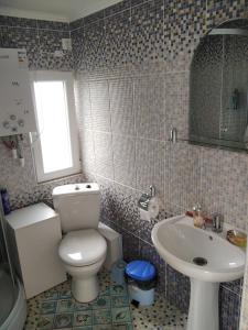 a bathroom with a toilet and a sink at Căsuța Bunicilor in Dorna Cîndrenilor