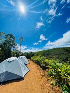 2 Zelte auf einer unbefestigten Straße mit der Sonne am Himmel in der Unterkunft TENT LIFE in Vagamon