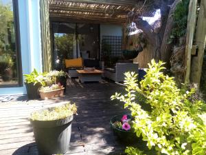 a patio with potted plants on a porch at Tranquility by the sea in Cape Town