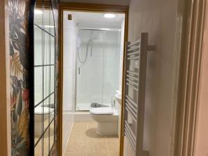 a bathroom with a toilet and a shower in it at Neptune's Nook, Cromer in Cromer
