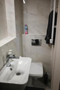 uma casa de banho com um lavatório branco e um WC. em Petőfi Apartman Pécs em Pécs