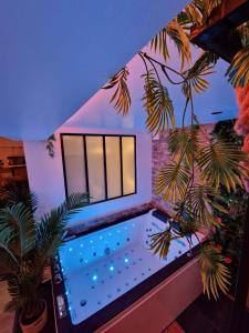 - une piscine dans une maison ornée de plantes dans l'établissement Loveroom Jungle Love Proche Disneyland, à Serris