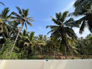 widok na palmy z plaży w obiekcie PAARK w mieście Nagarkoil